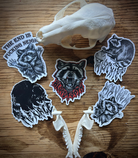 Raccoon Sticker Pack - 5 Vinyl Stickers