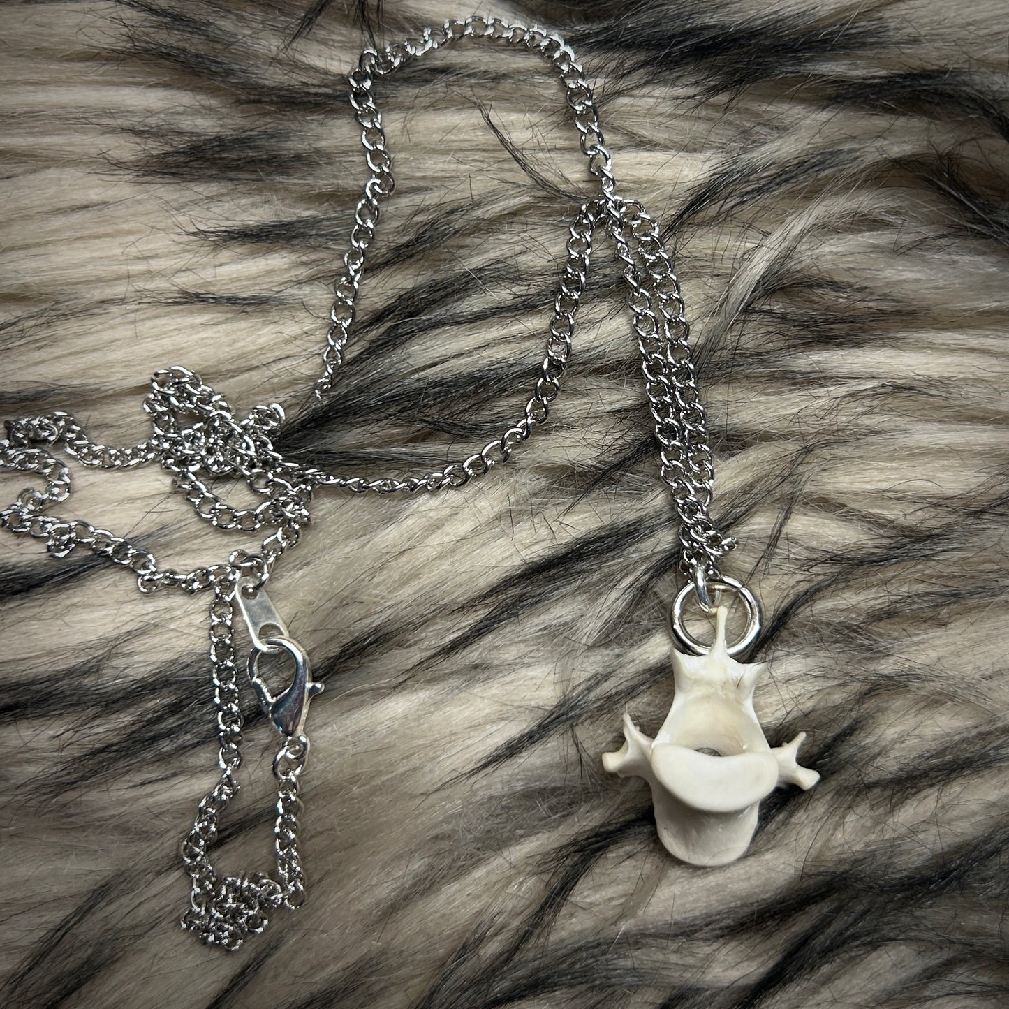 Fox Bone Necklace