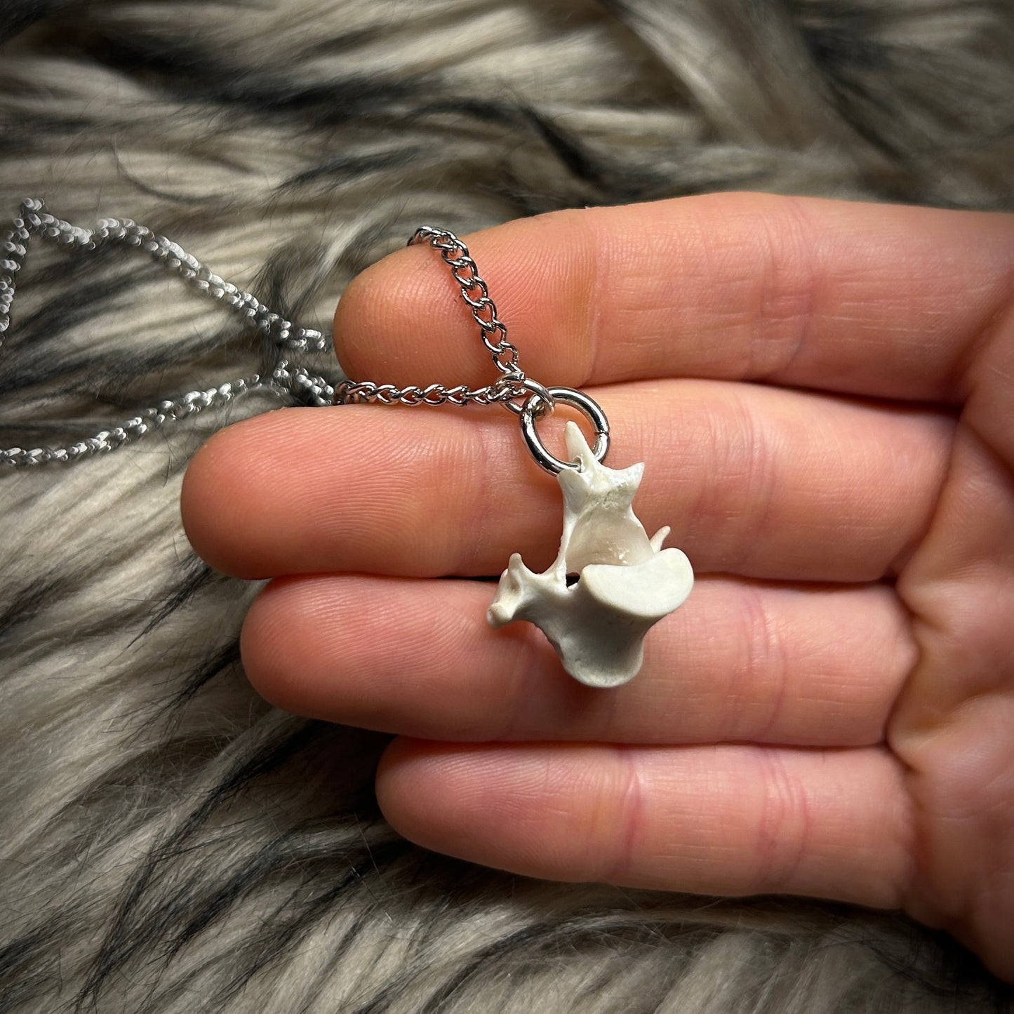 Fox Bone Necklace