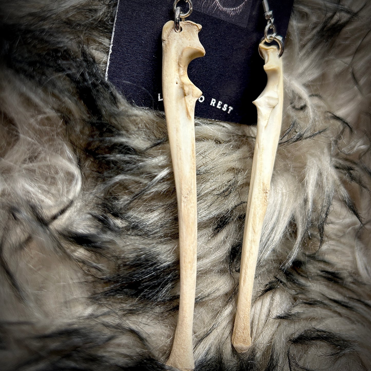 Fox Ulna Earrings