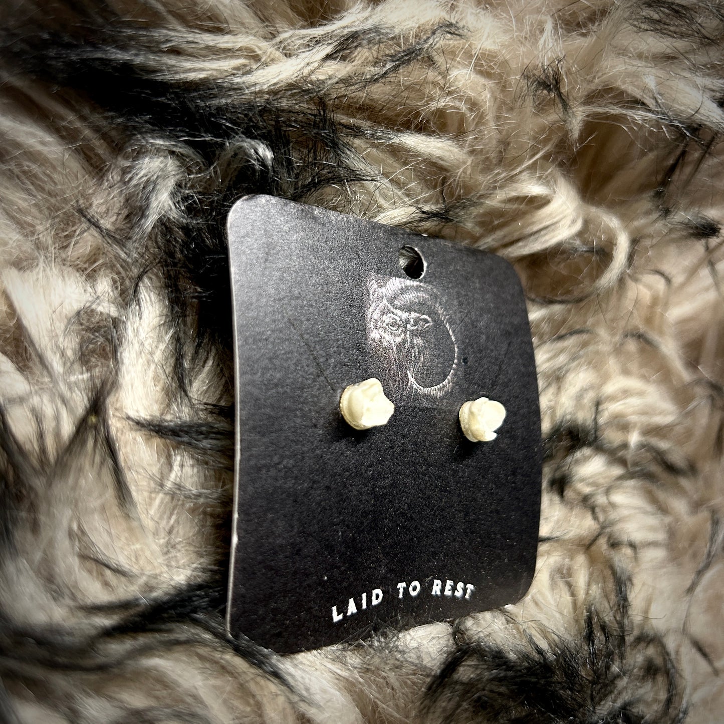 Fox Bone Studs