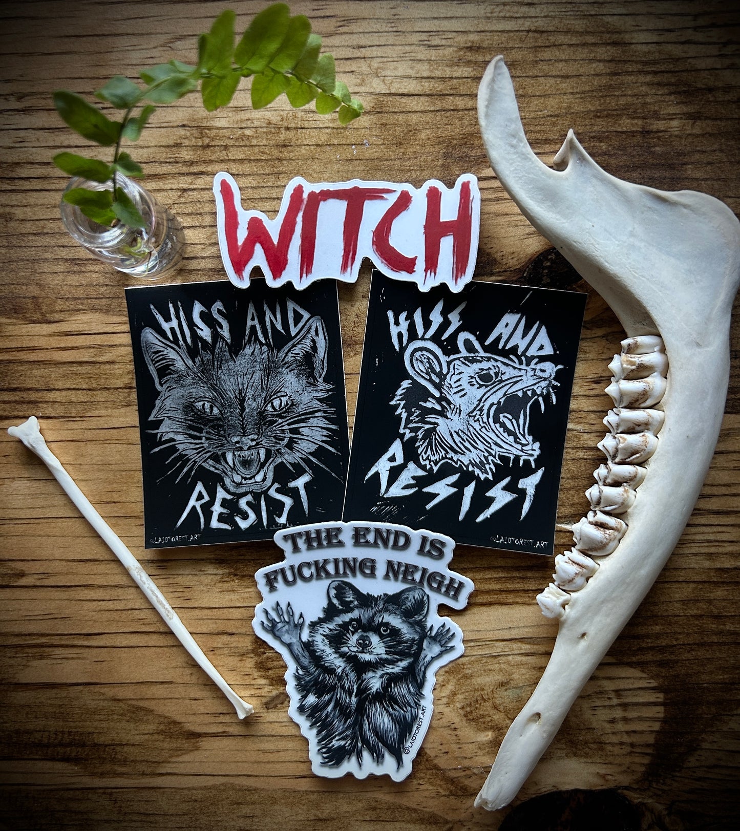 Statement Sticker Pack - 4 Vinyl Stickers