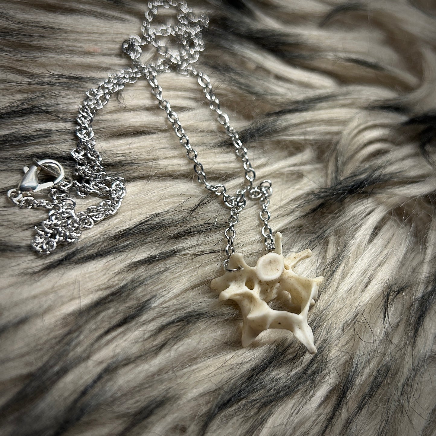 Fox Bone Necklace