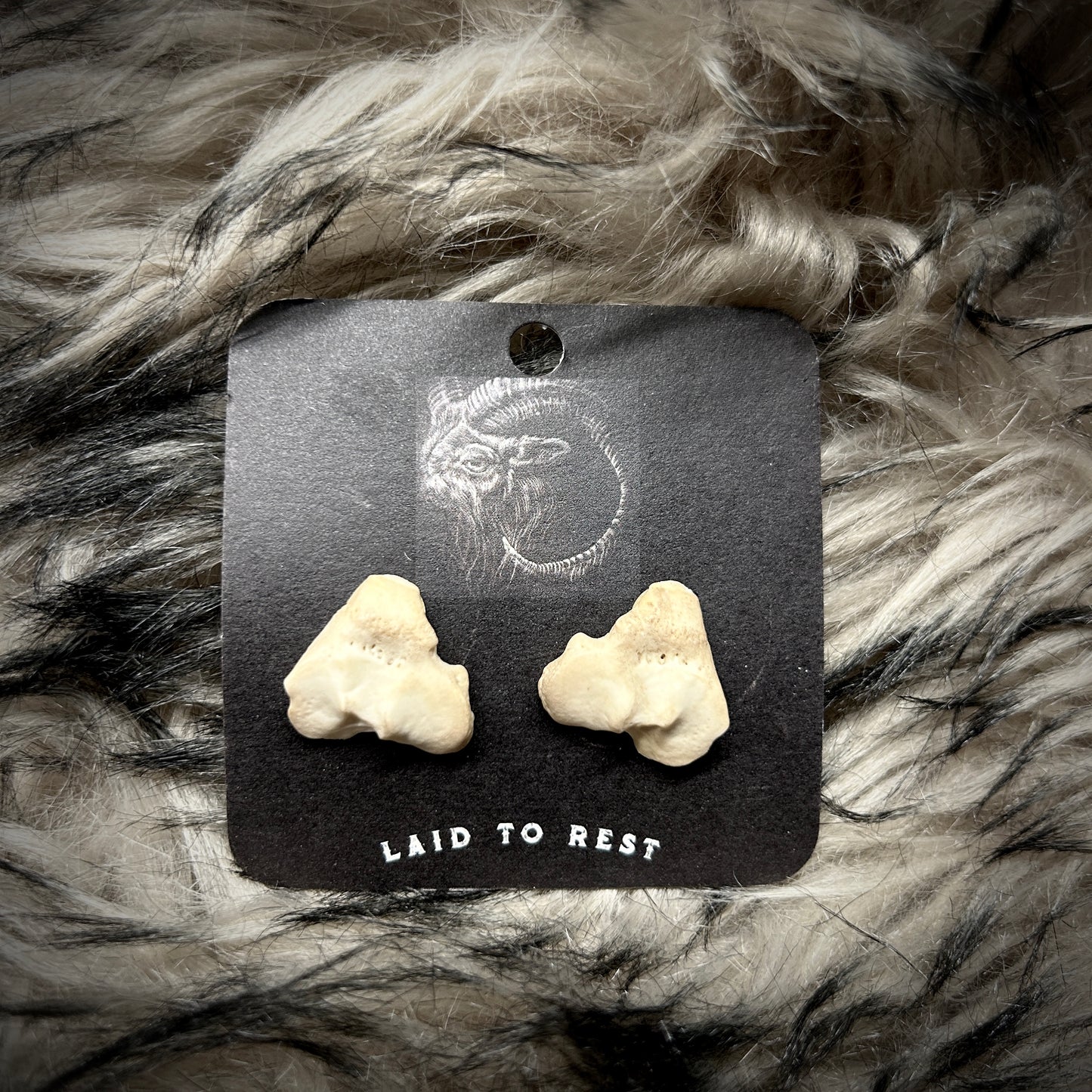 Fox Bone Fragment Studs