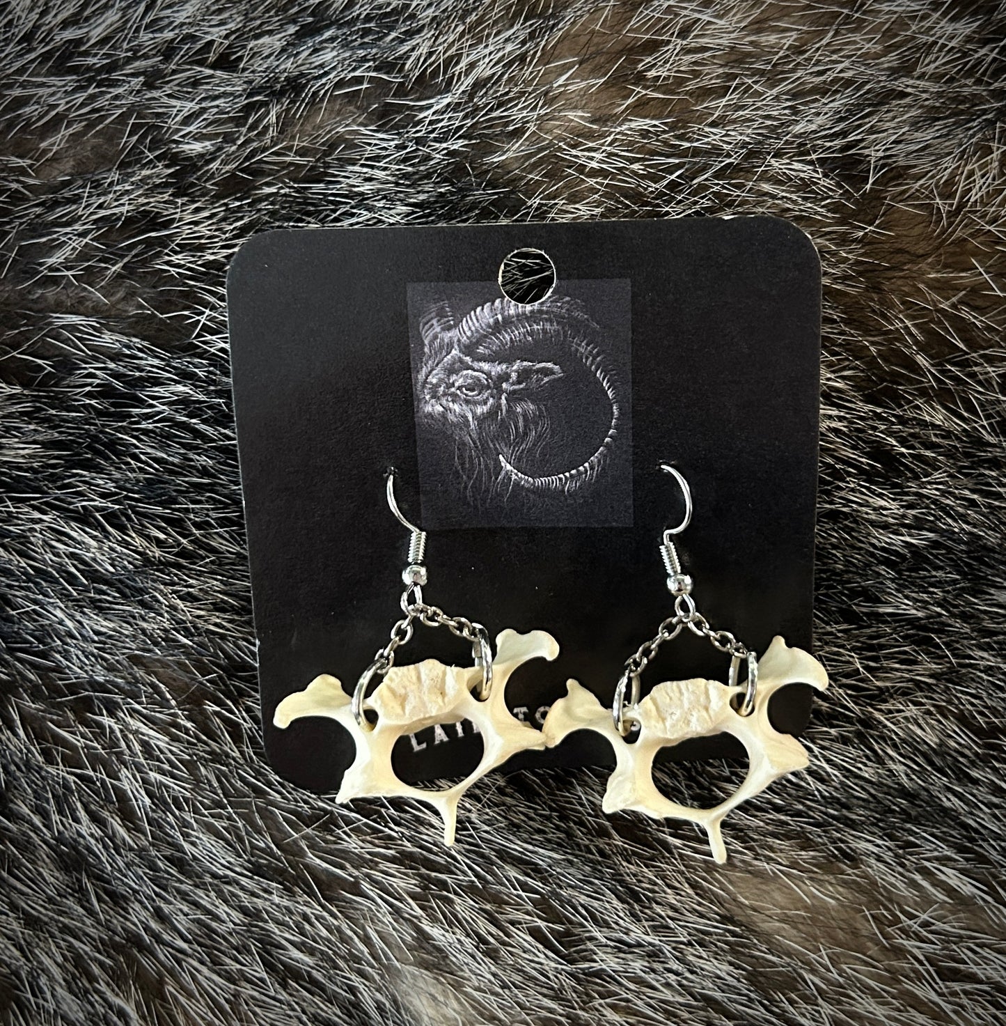 Raccoon Vertebrae earrings