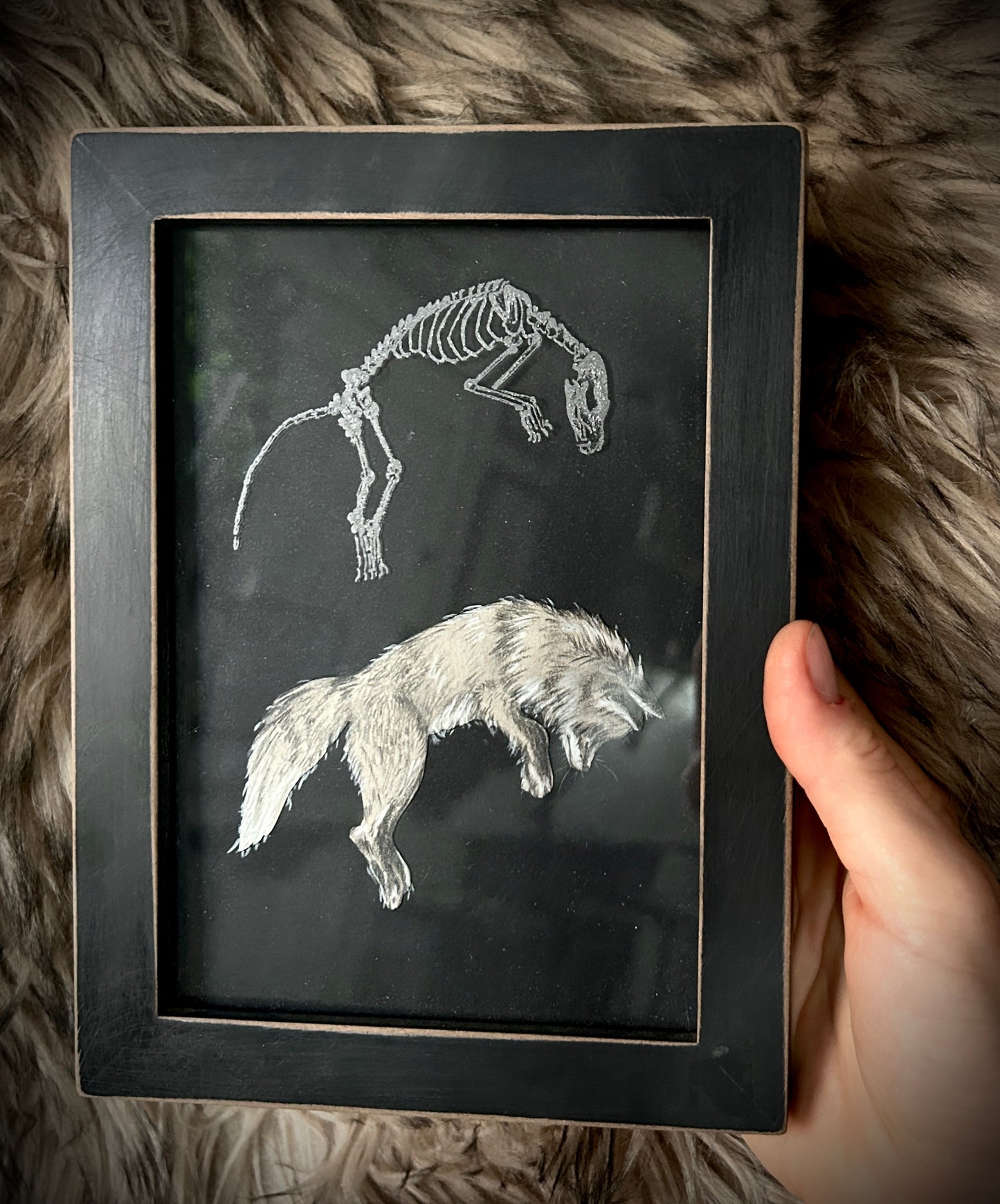 Animals - Framed Etchings