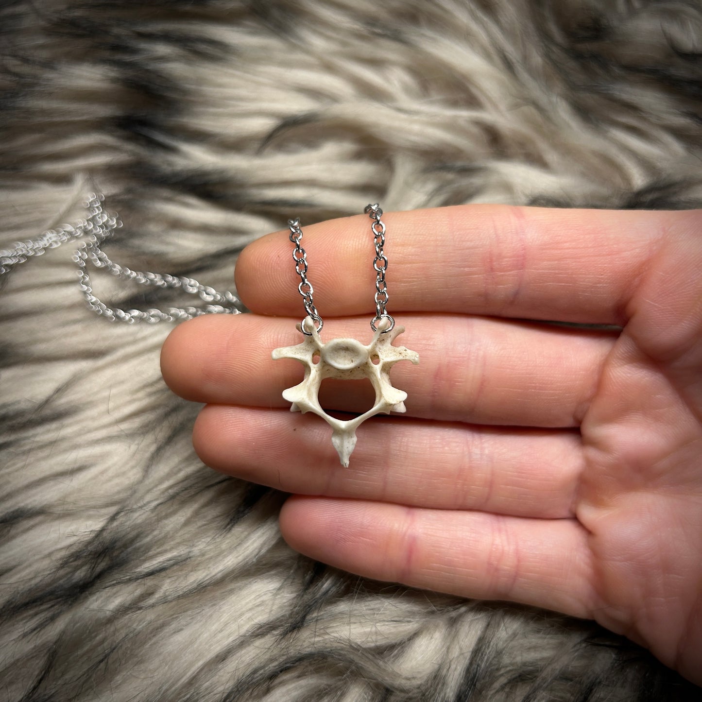 Fox Bone Necklace