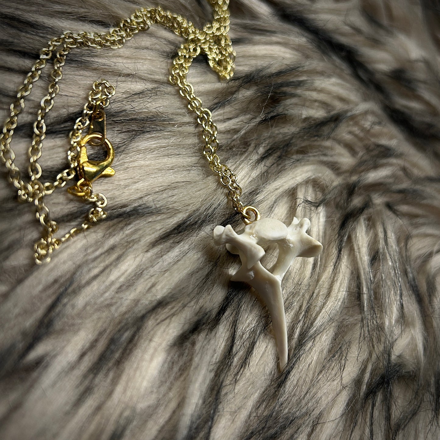 Fox Vertebrae Necklace