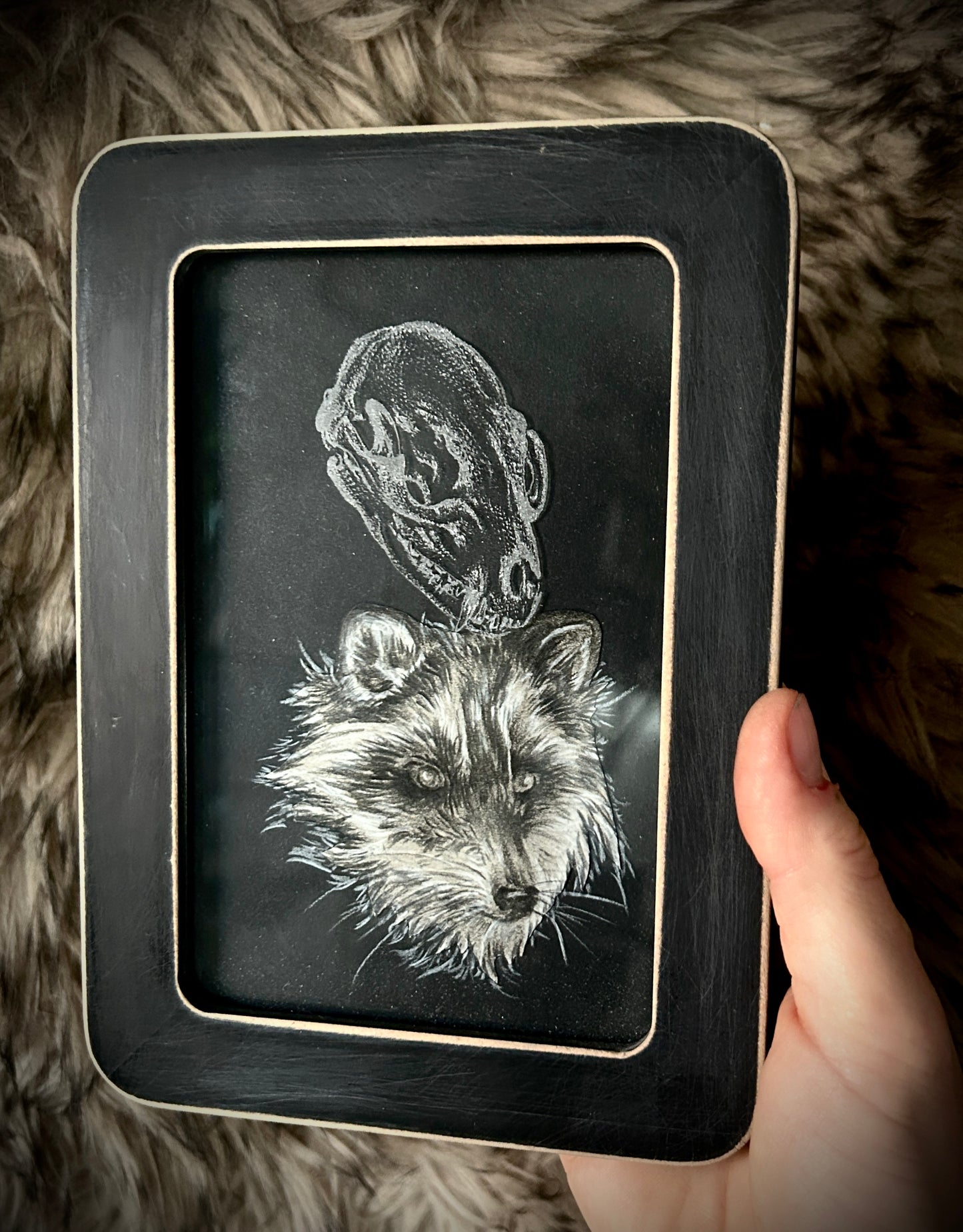 Animals - Framed Etchings