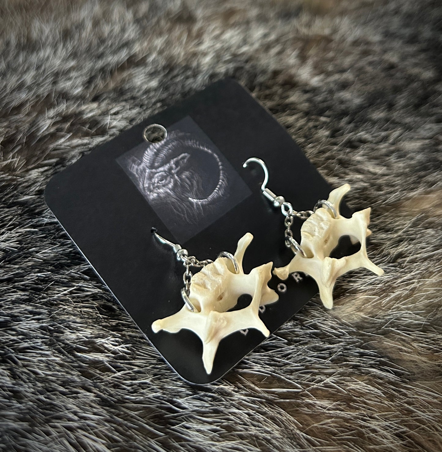 Raccoon Vertebrae earrings