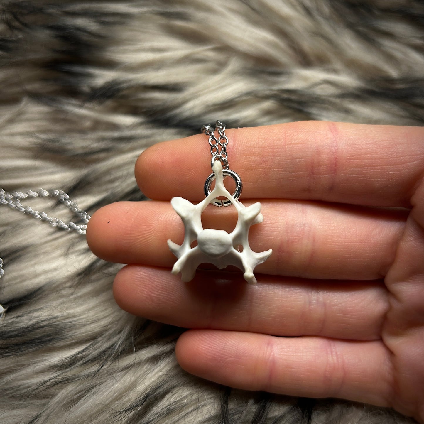 Fox Bone Necklace