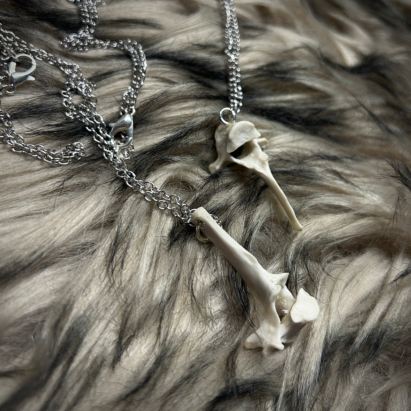 Fox Vertebrae Necklace