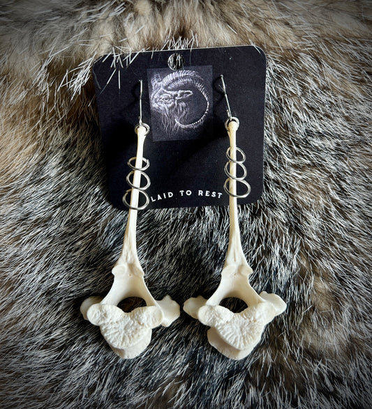 Pierced Vertebrae Earrings