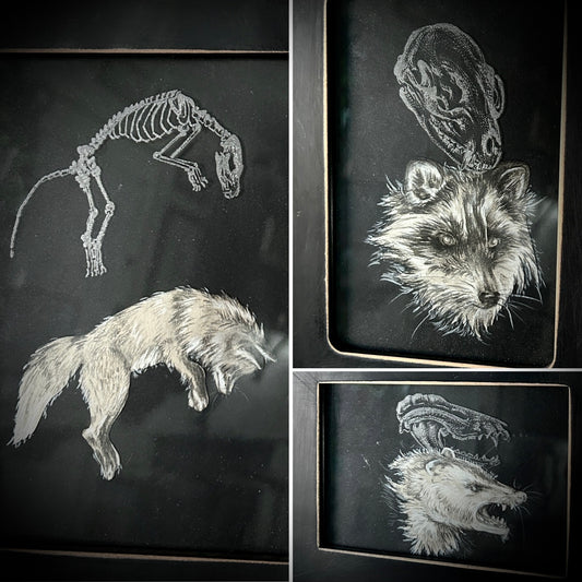 Animals - Framed Etchings
