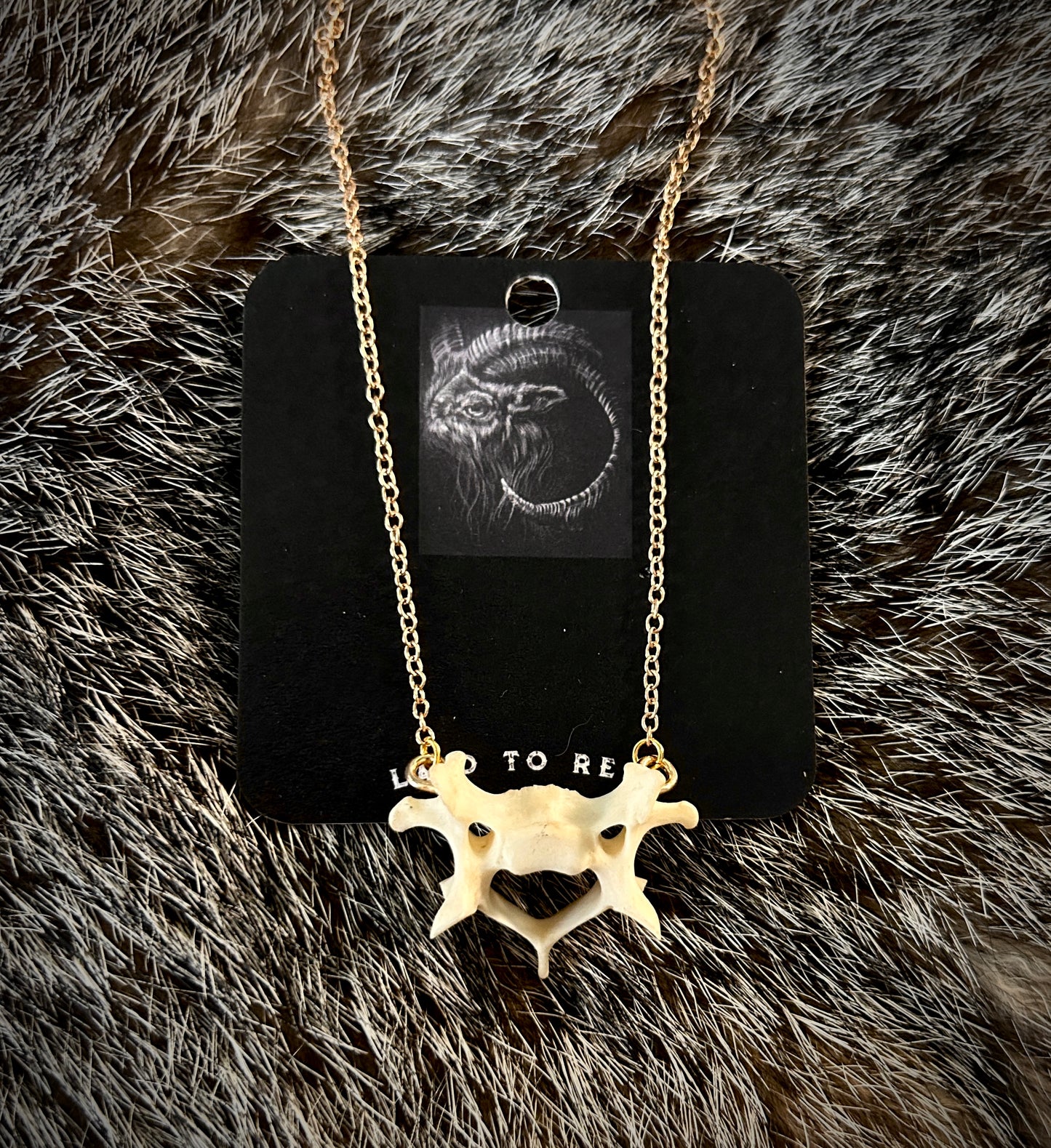 Raccoon Vertebrae necklace