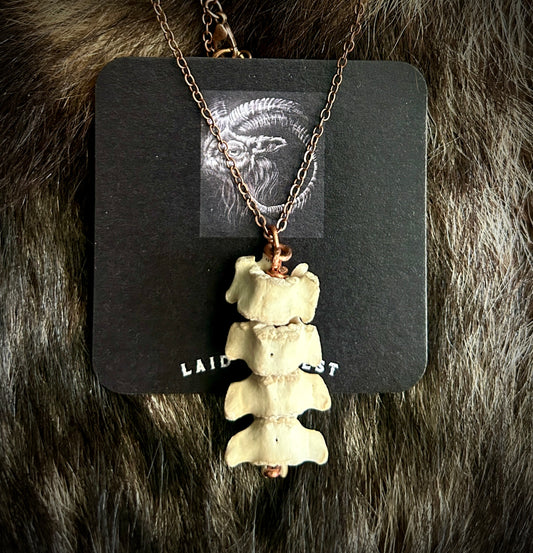 Raccoon Spine Pendant