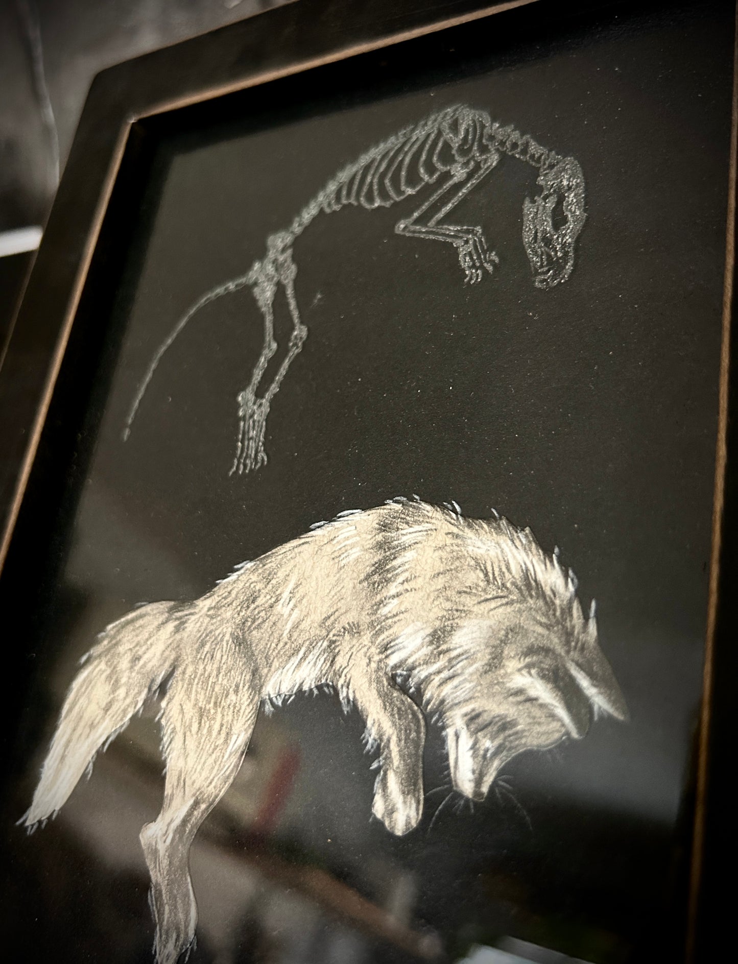 Animals - Framed Etchings