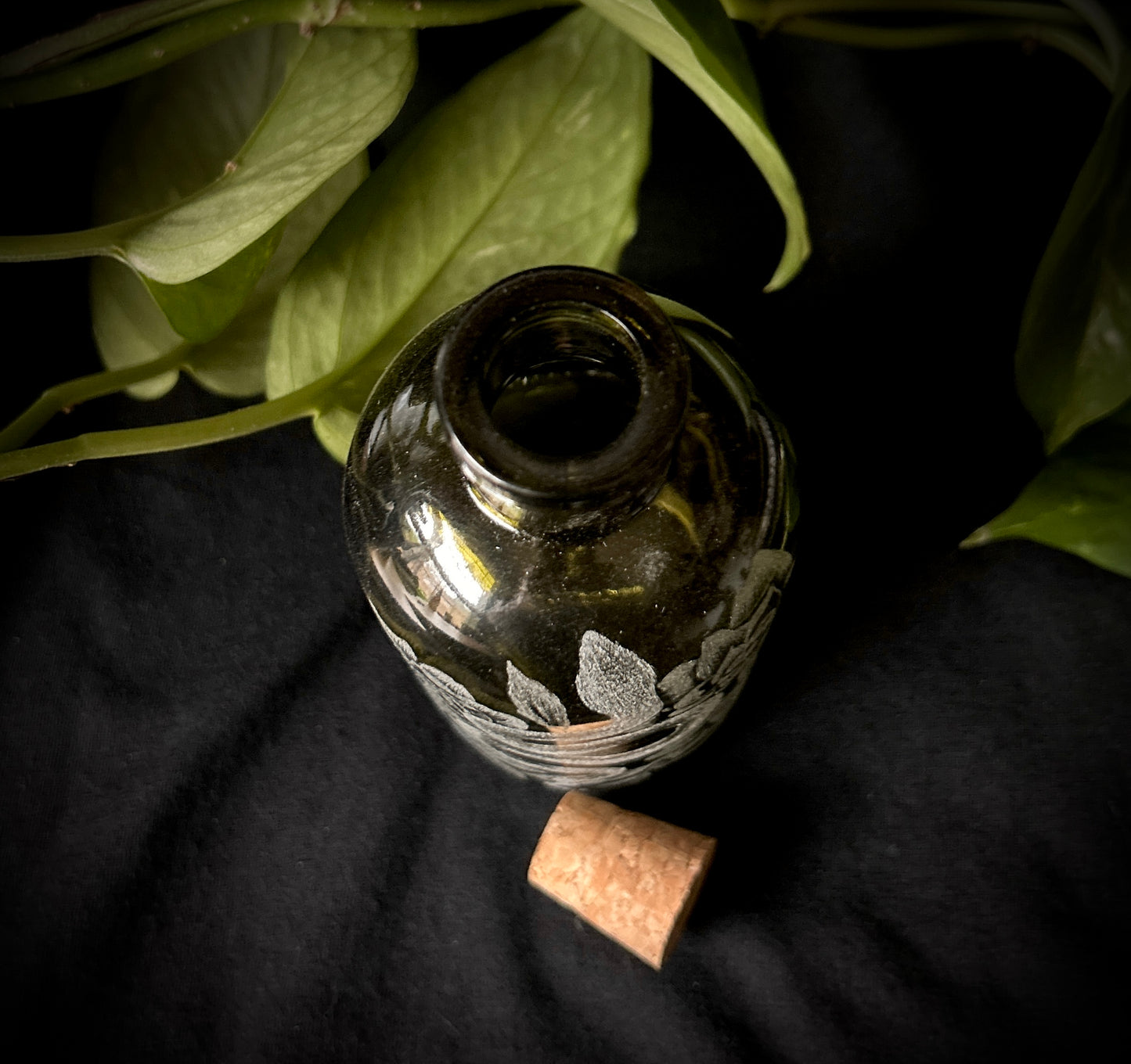 Snake Hand-etched Bottle