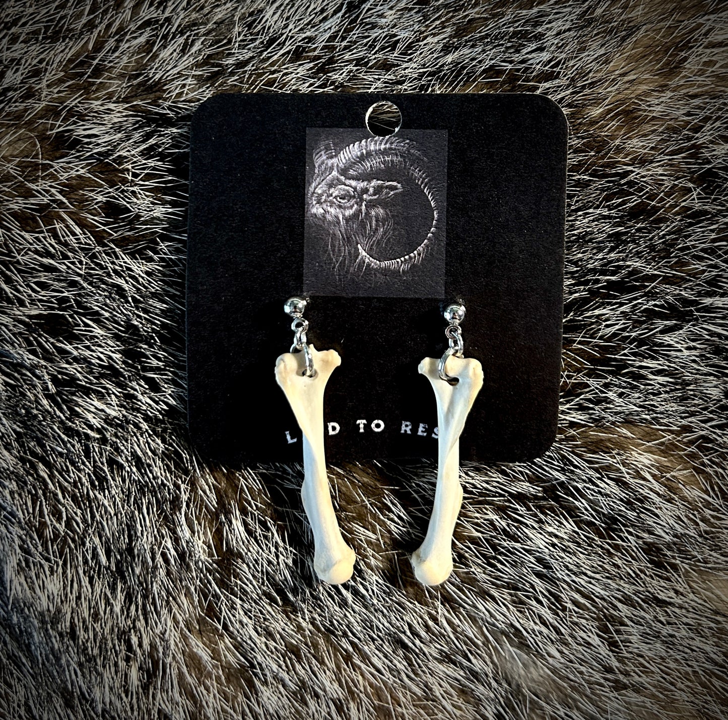 Rat Femur earrings