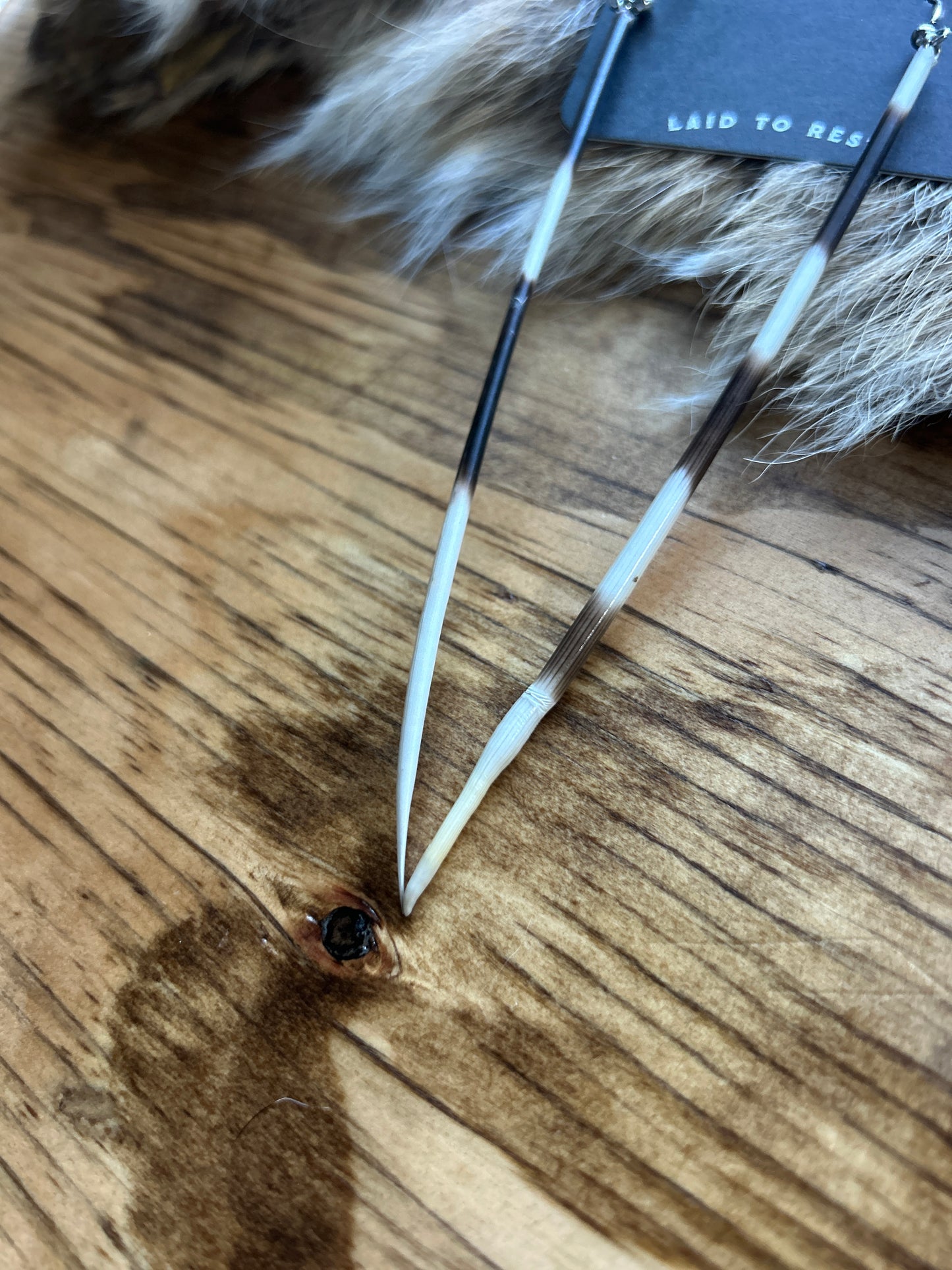 Porcupine Quill Earrings