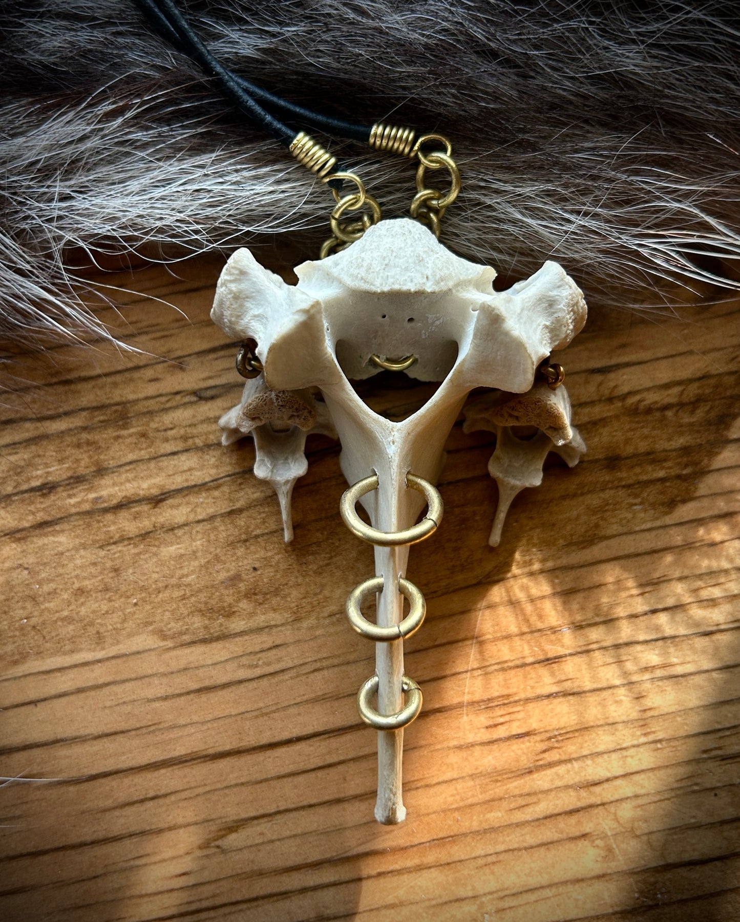 Deer and Fox vertebrae pierced necklace
