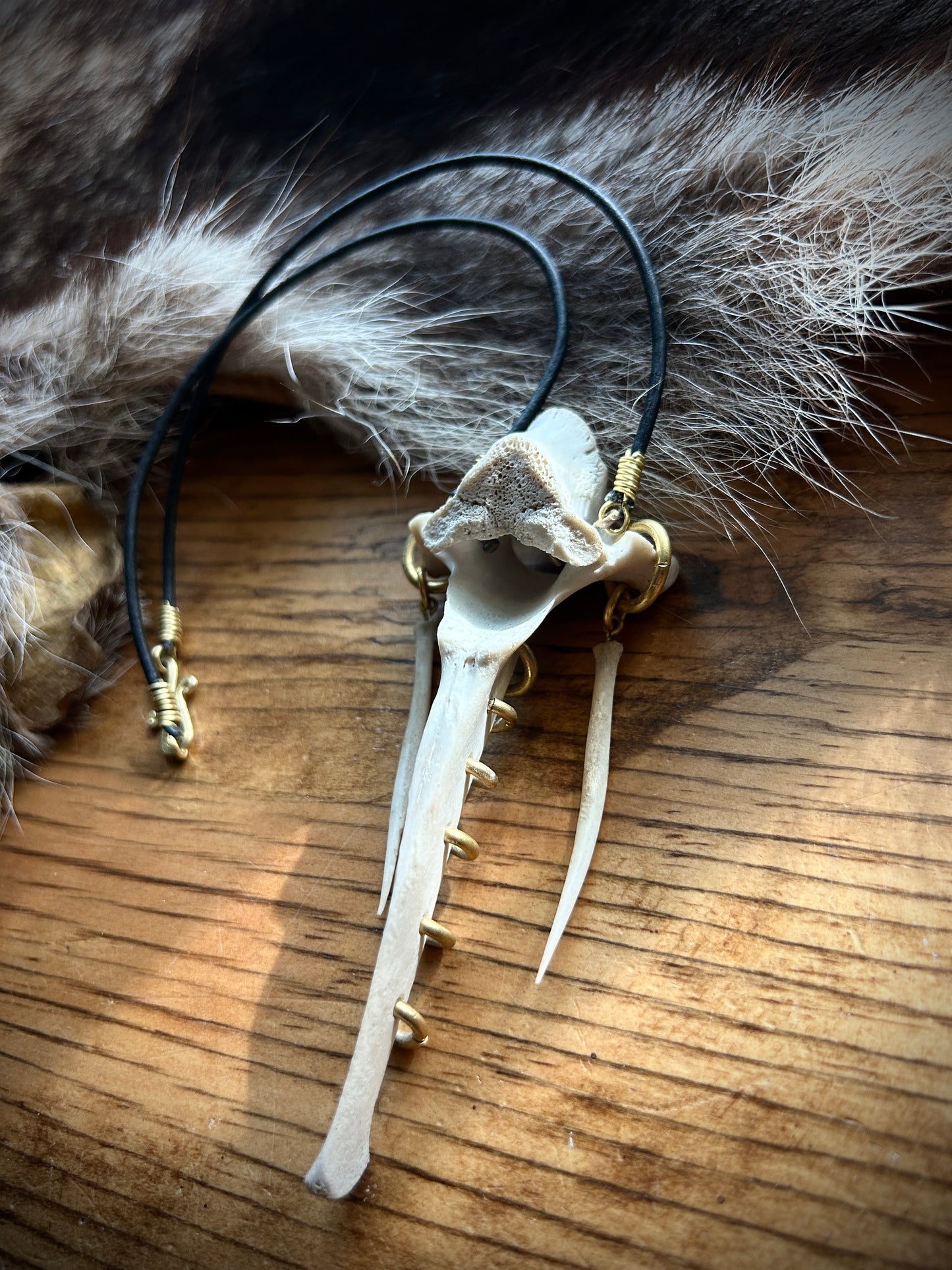 Deer bones pierced vertebrae necklace