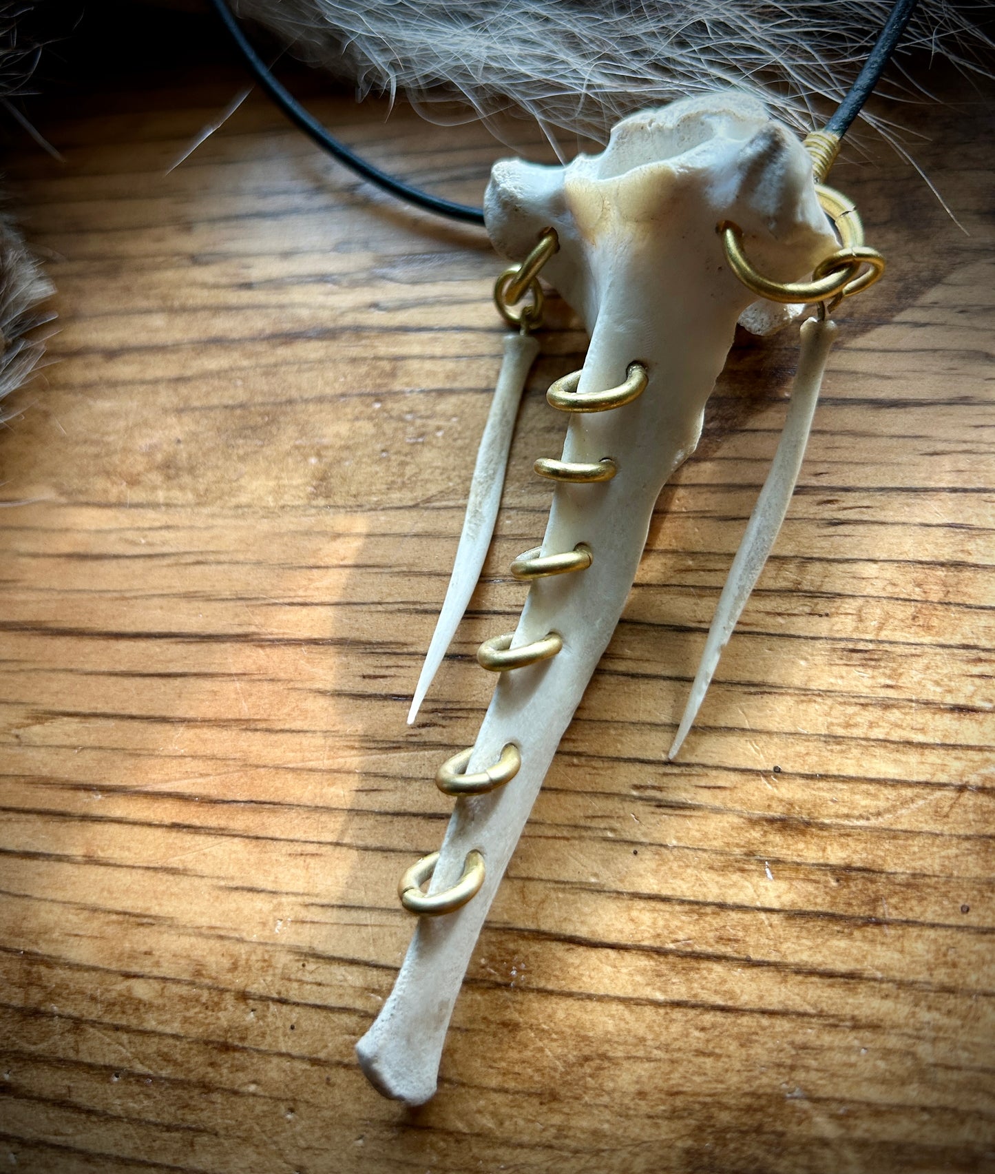 Deer bones pierced vertebrae necklace