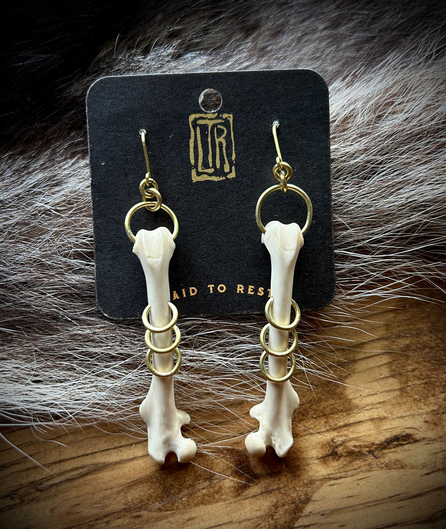 Squirrel Femur brass pierced earrings