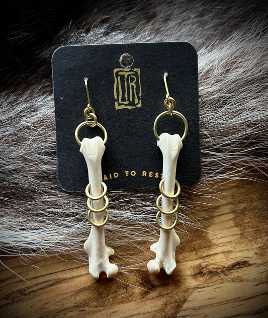 Squirrel Femur brass pierced earrings