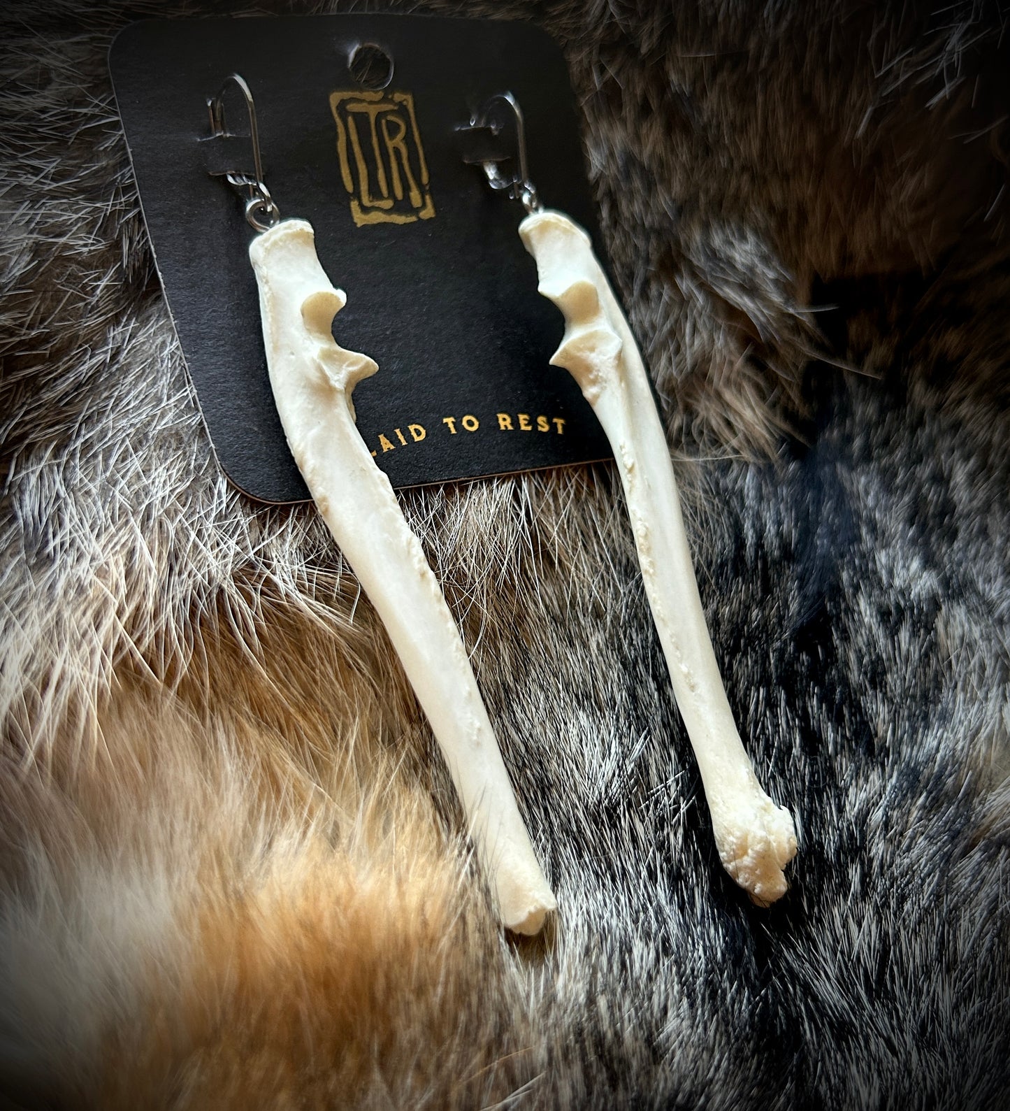 Cat Ulna bones - silver clasp earrings
