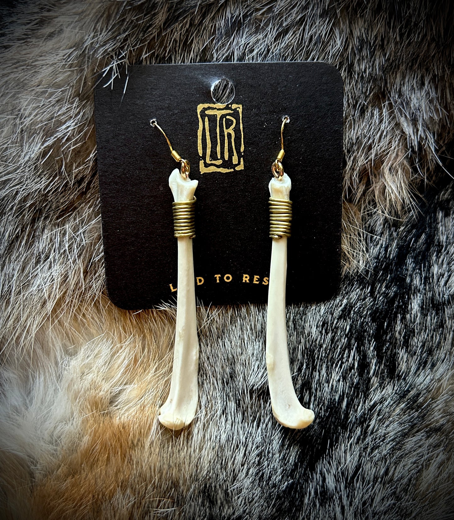 Squirrel Tibia bones - brass wire wrapped earrings