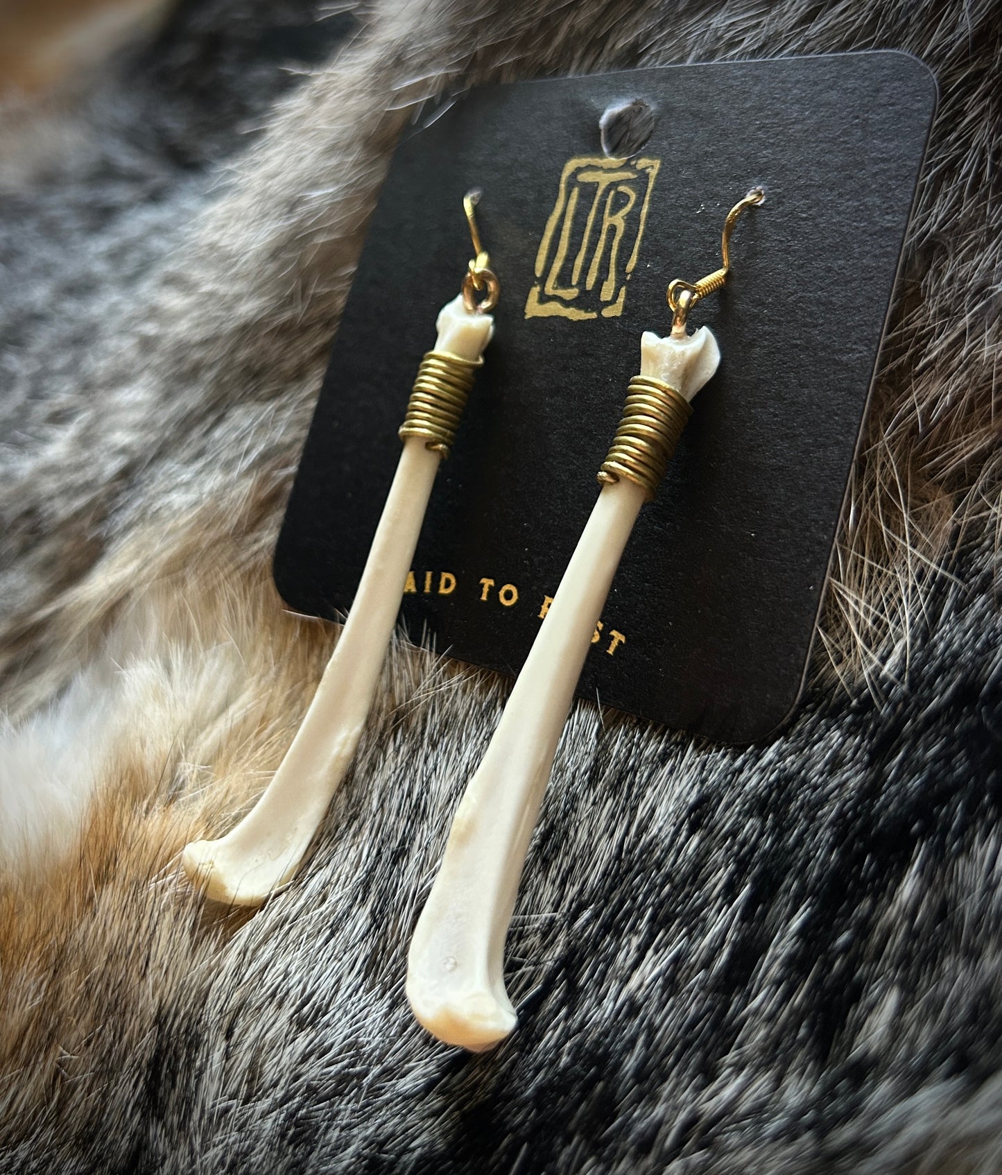 Squirrel Tibia bones - brass wire wrapped earrings