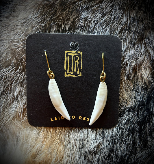 Raccoon Canines - Brass earrings