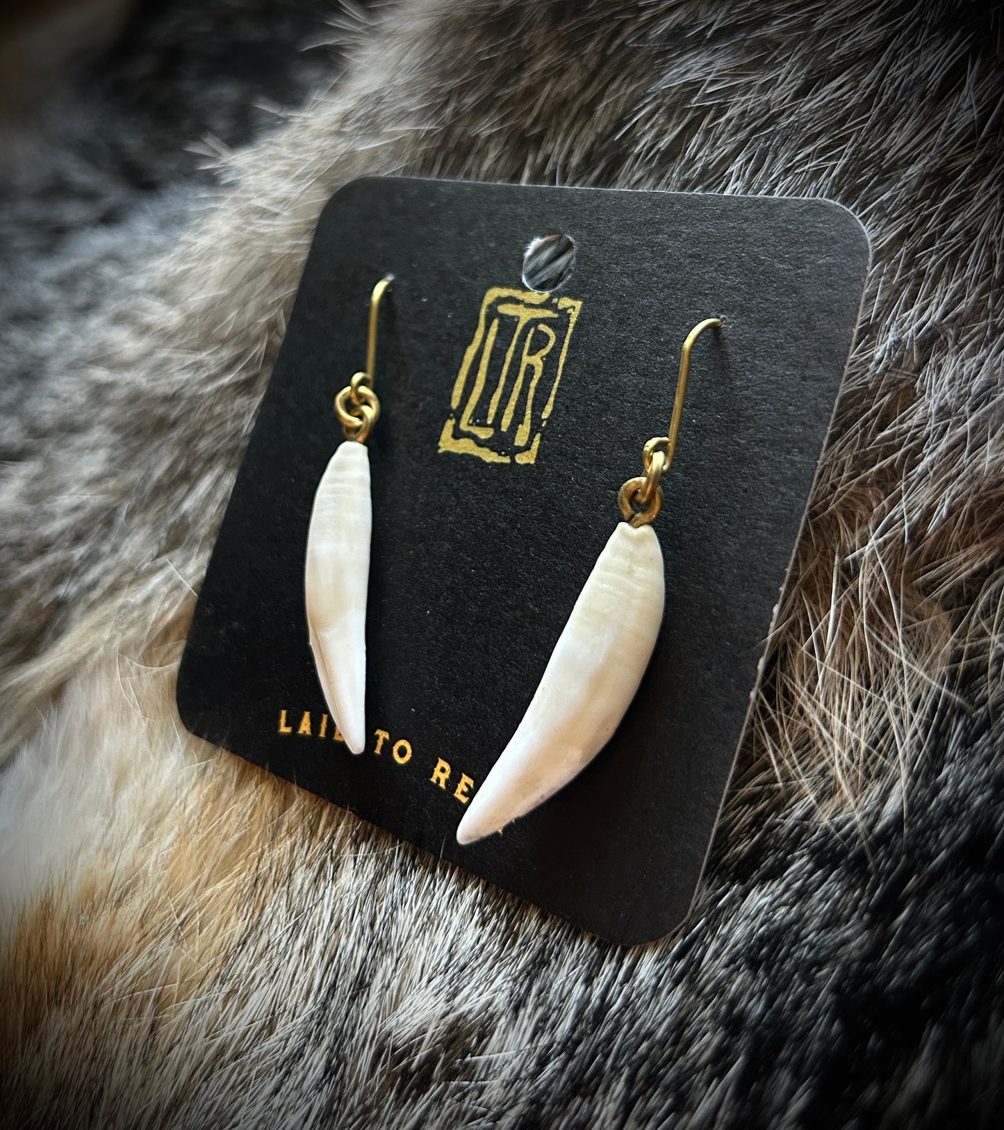 Raccoon Canines - Brass earrings