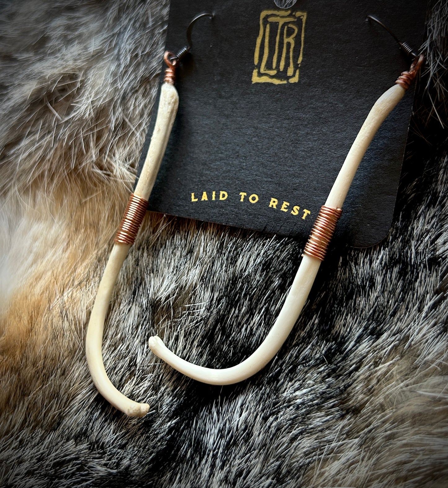 Copper wrapped Raccoon Baculum earrings