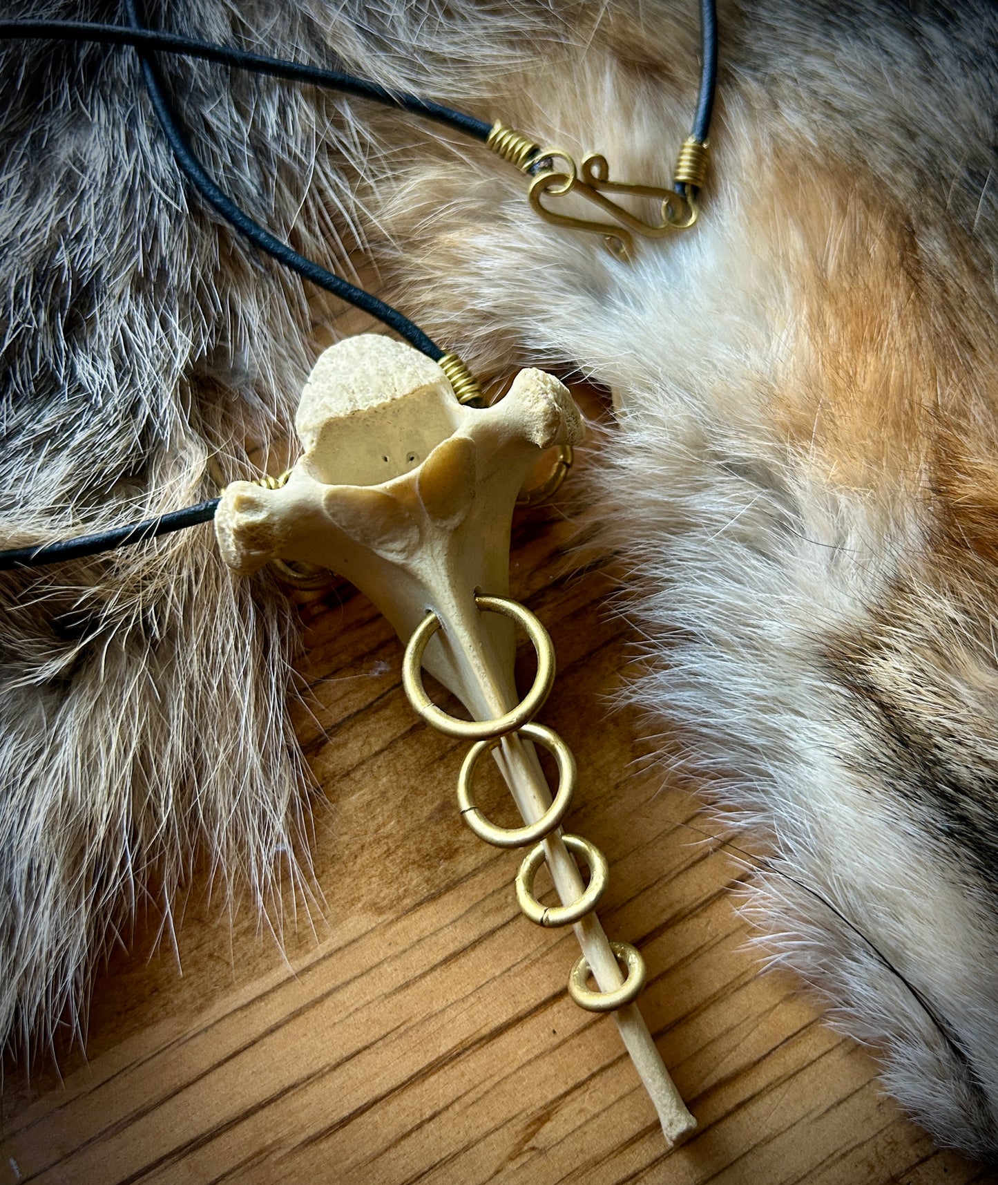 Pierced Deer Vertebrae - Leather and brass necklace
