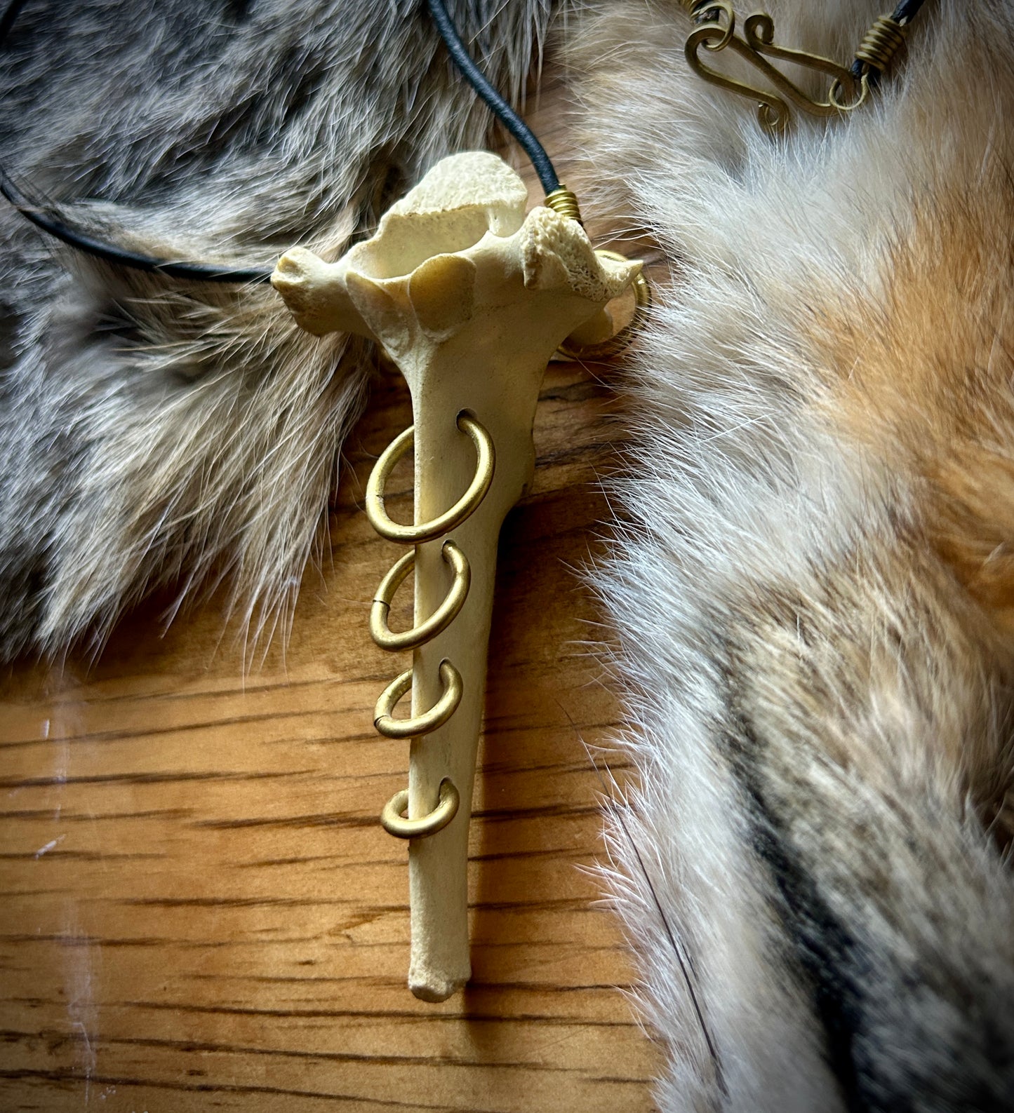 Pierced Deer Vertebrae - Leather and brass necklace