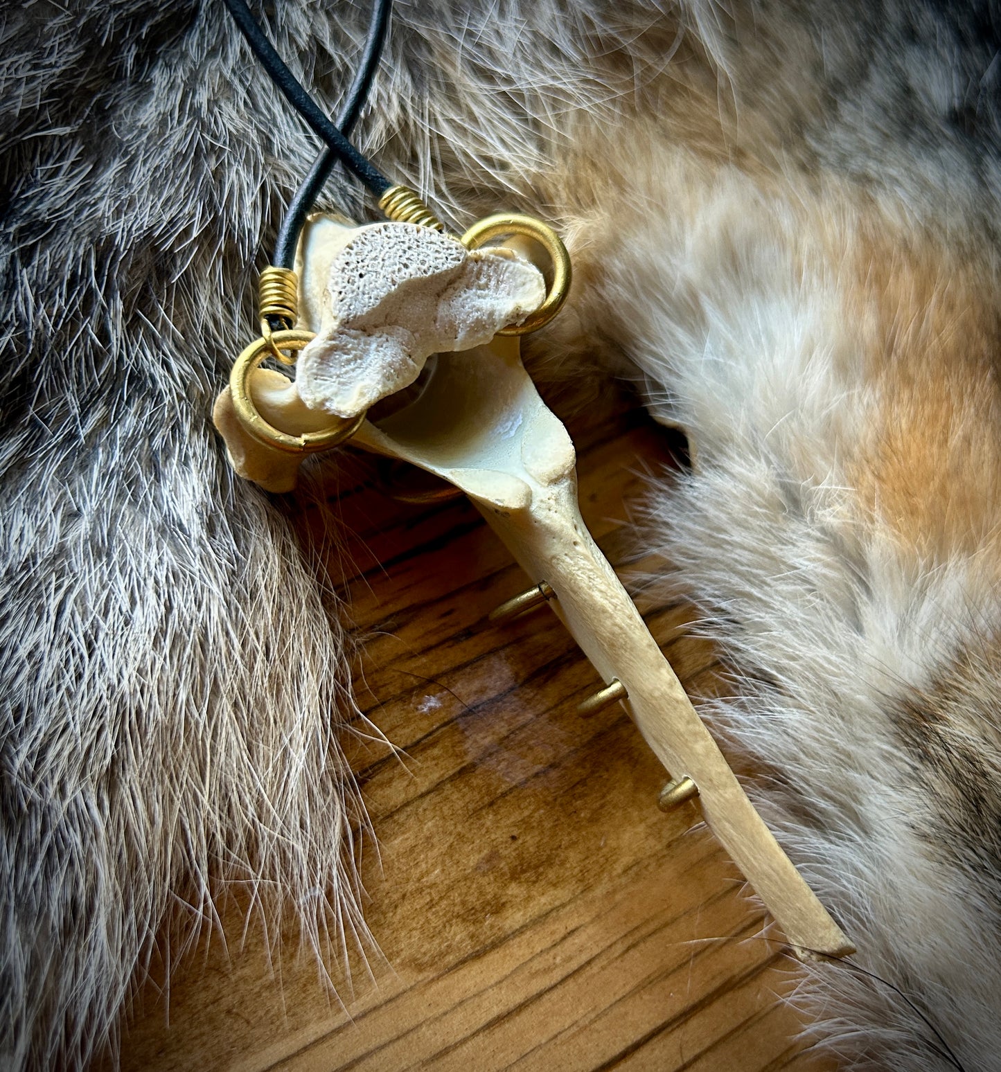 Pierced Deer Vertebrae - Leather and brass necklace