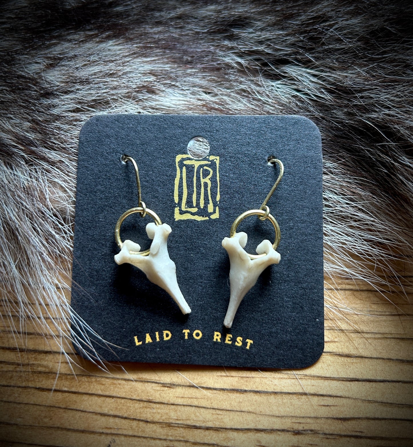 Fawn Vertebrae brass earrings
