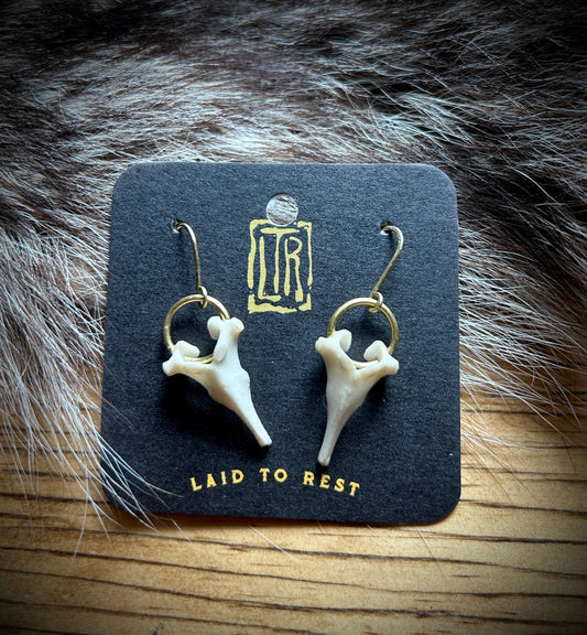 Fawn Vertebrae brass earrings