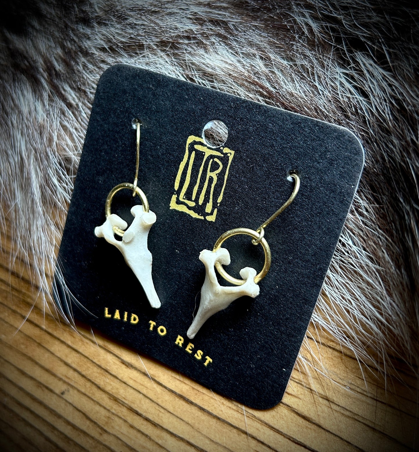 Fawn Vertebrae brass earrings