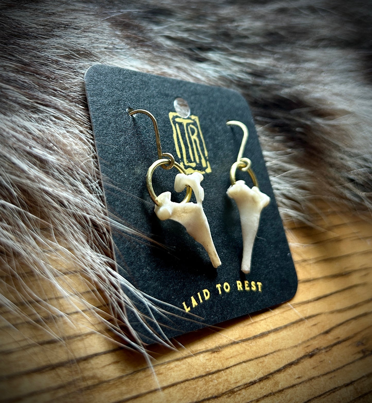 Fawn Vertebrae brass earrings