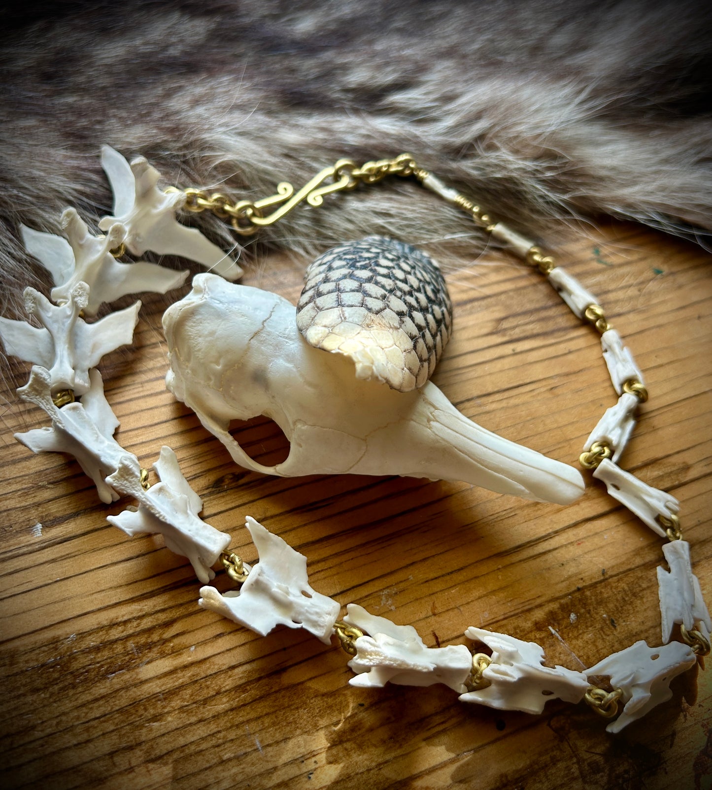 Armadillo Tail necklace