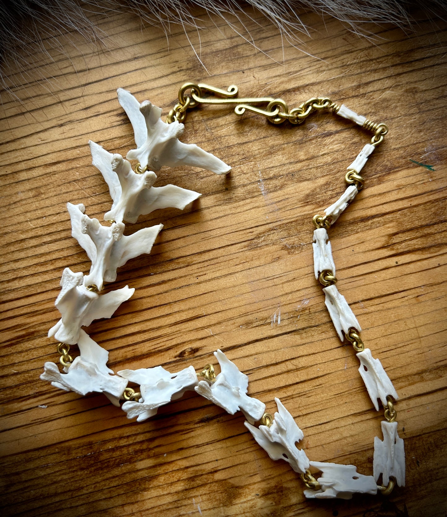 Armadillo Tail necklace