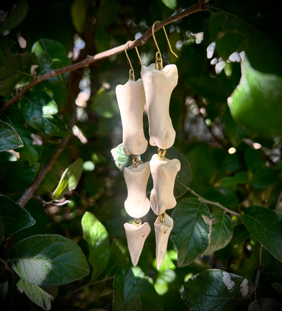 Deer Phalanges earrings