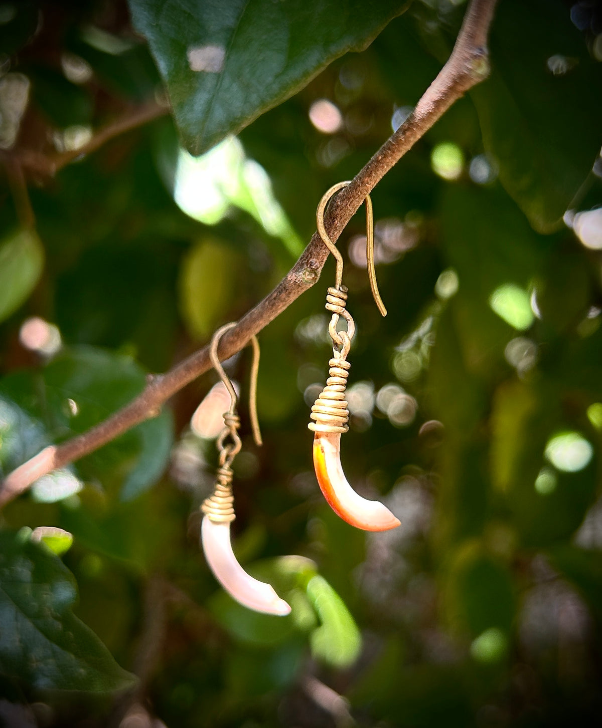 Squirrel Incisor Earrings