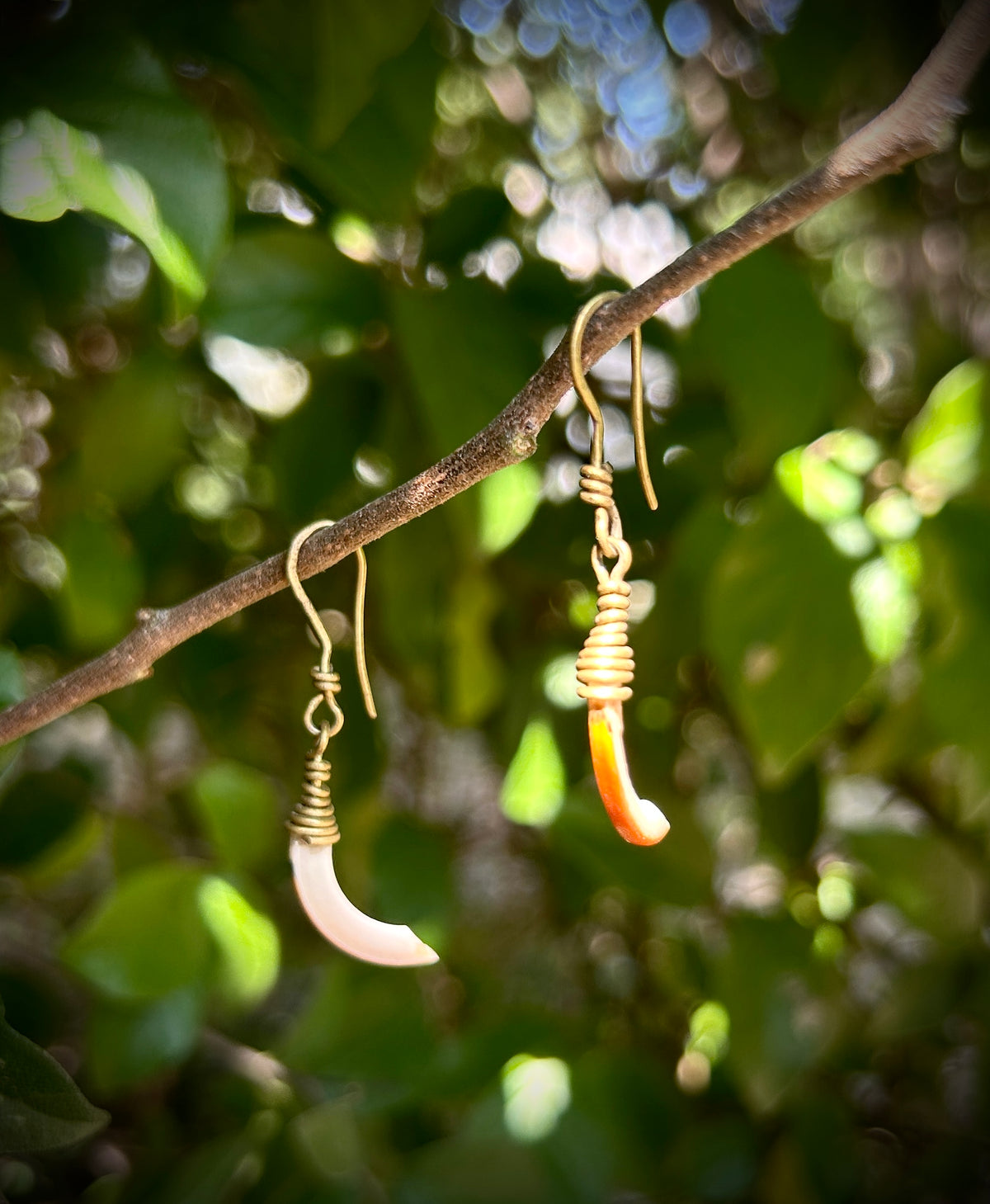 Squirrel Incisor Earrings