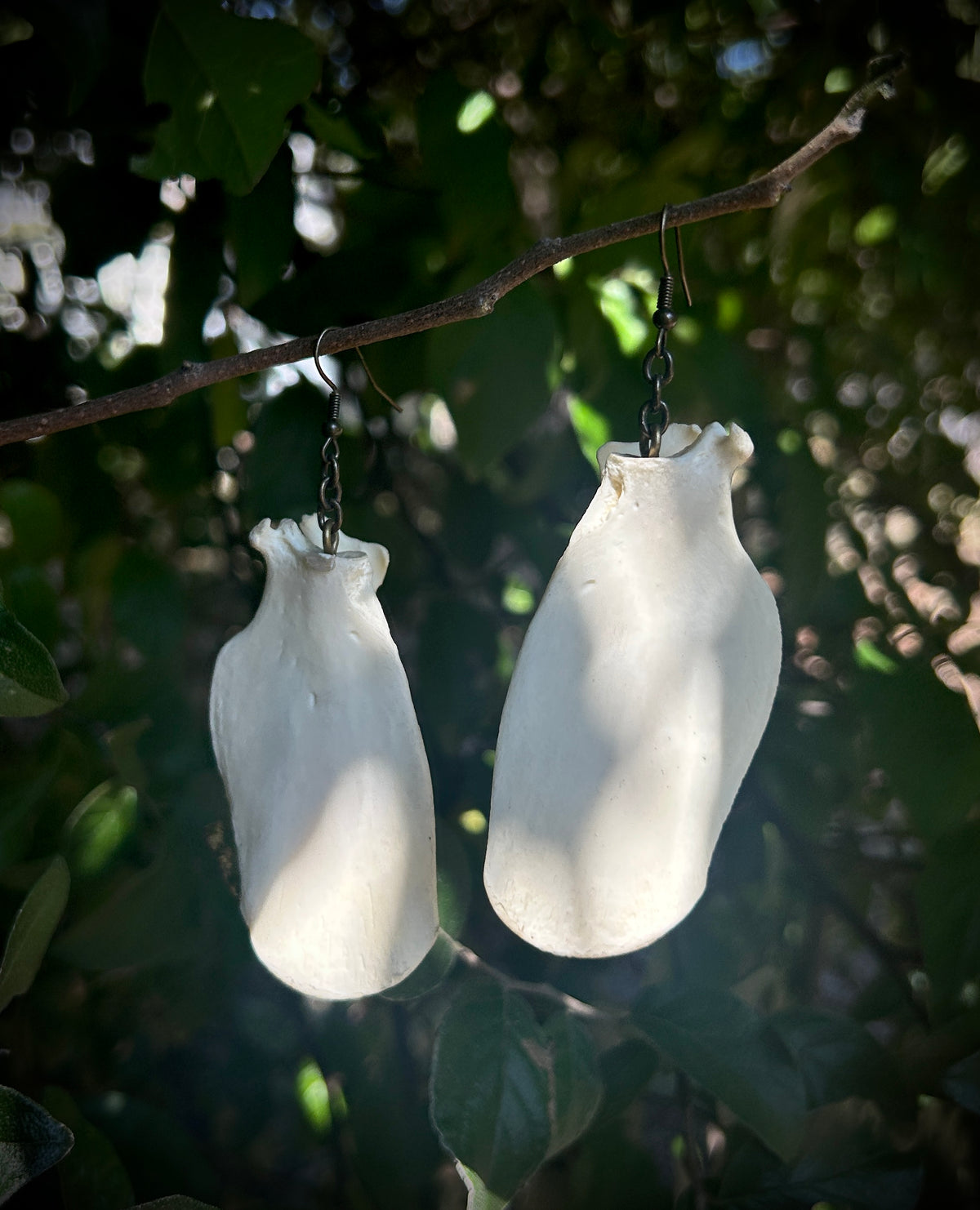 Possum Scapula earrings