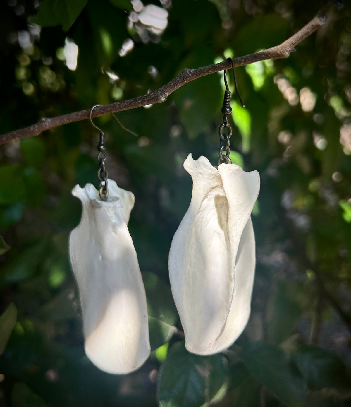Possum Scapula earrings