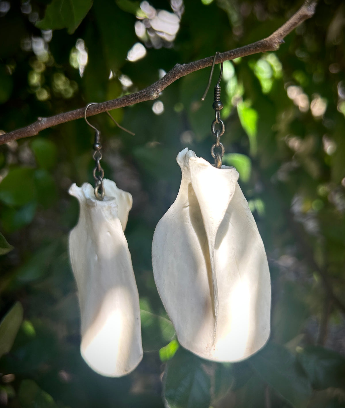 Possum Scapula earrings